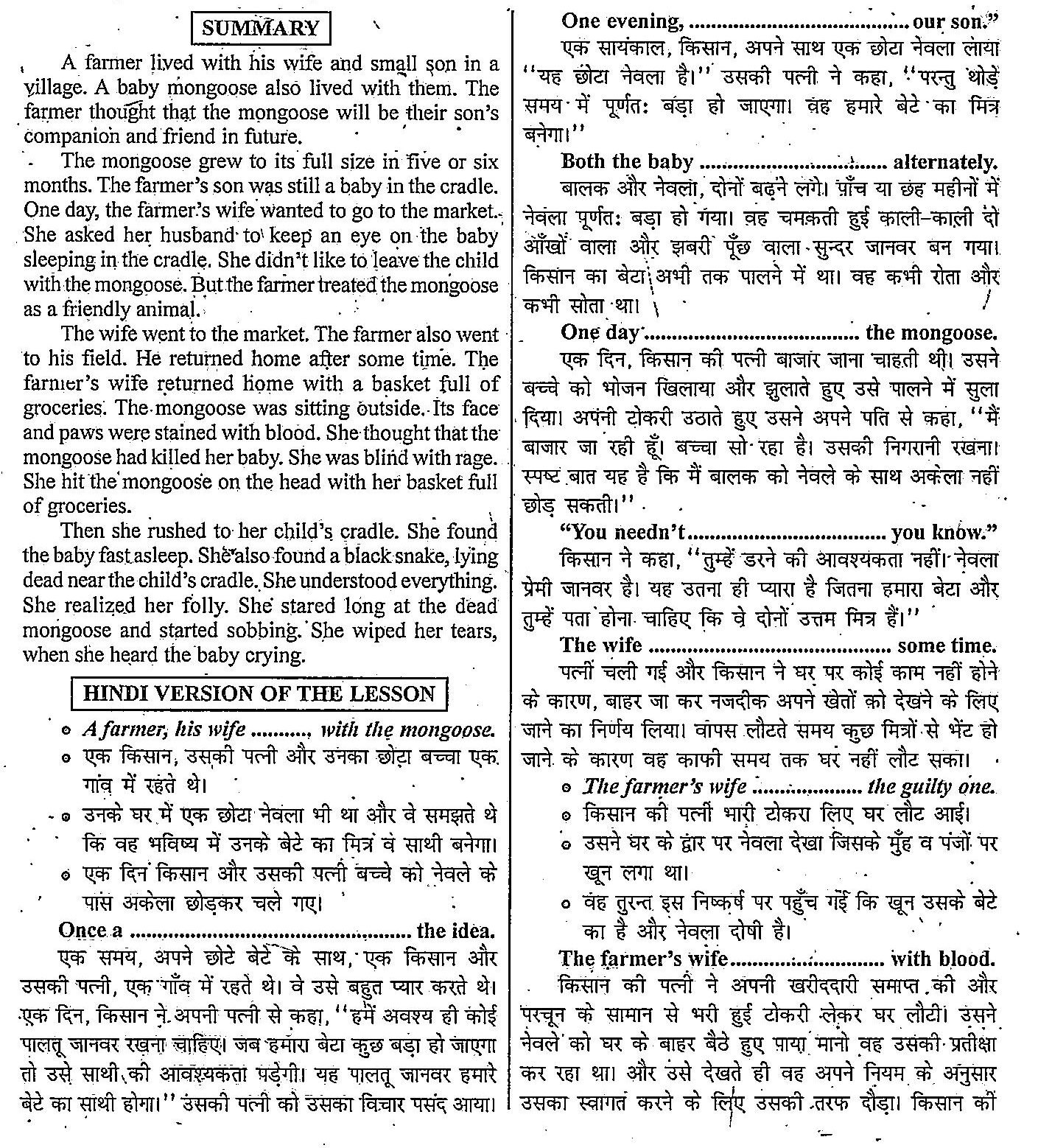 ncert-board-solution-6th-class-english-chapter-2-the-friendly-mongoose